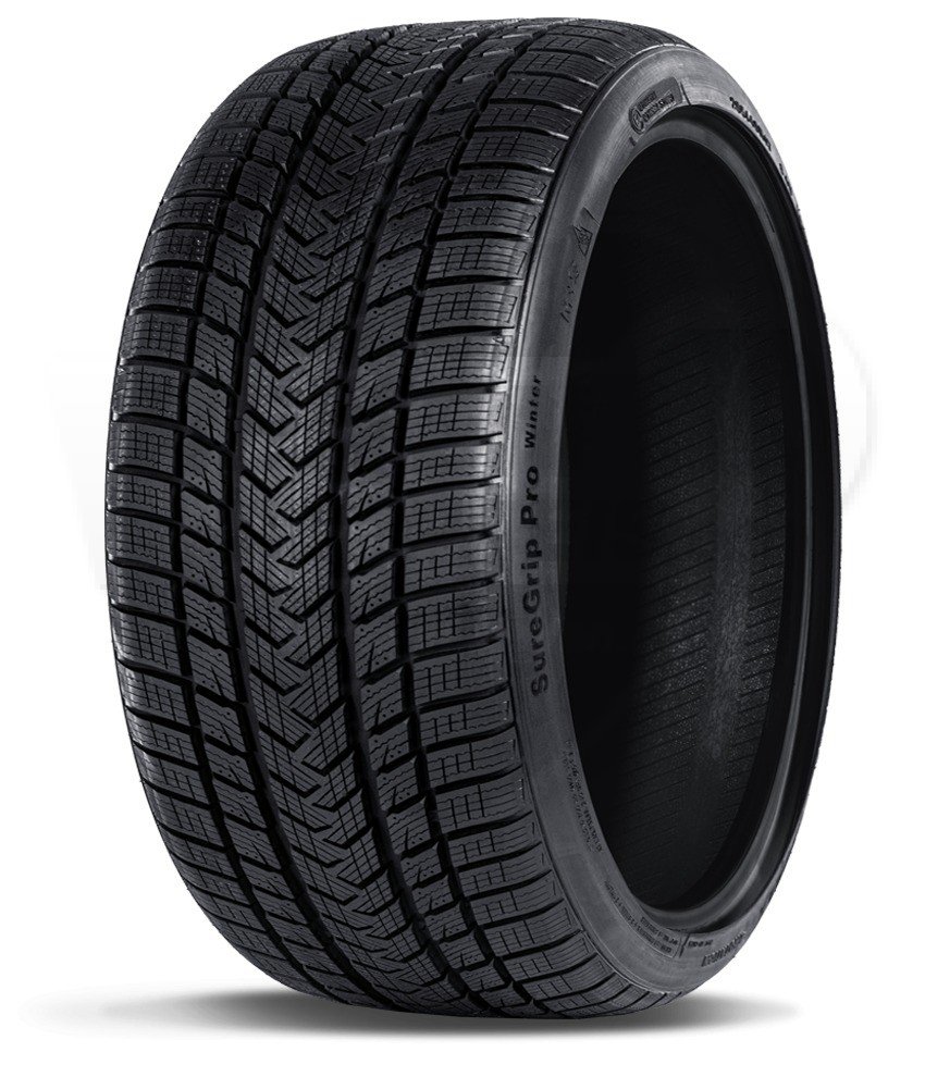 Gripmax Status Pro Winter 205/55 R17