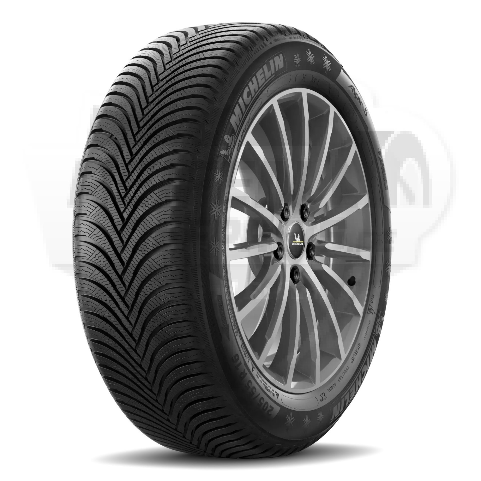 Michelin Alpin 5 225/55 R17